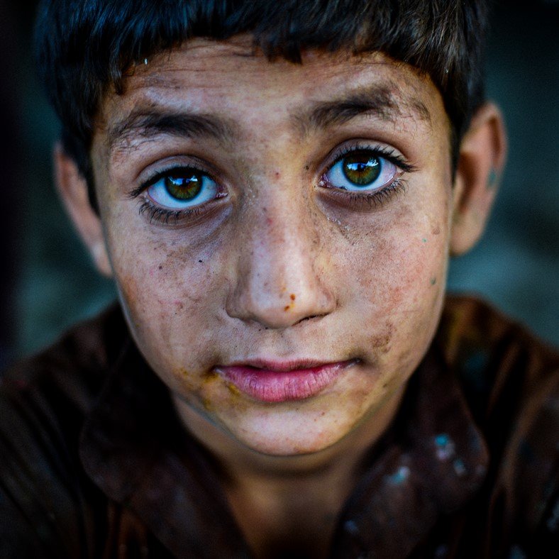Eloquence of the Eye